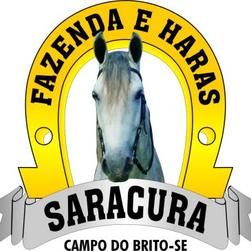 8ª COPA DE MARCHA DO CAVALO MANGALARGA MARCHADOR DE SERGIPE