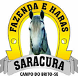 Fazenda e Haras | Eco Parque Saracura | Campo do Brito - SE