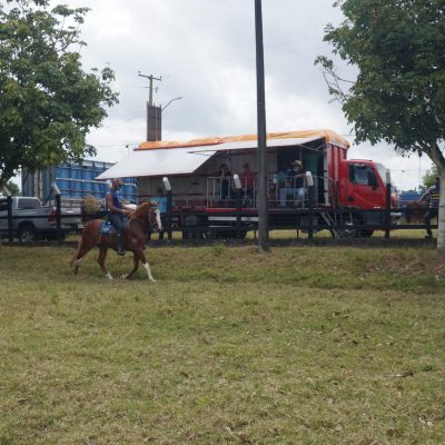 X COPA DE MARCHA DO CAVALO MANGALARGA MAECHADOR DE SERGIPE.
HARAS SARACURA - CAMPO DO BRITO -SE.