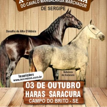 X COPA DE MARCHA DO HARAS SARACURA – CAMPO DO BRITO – SERGIPE