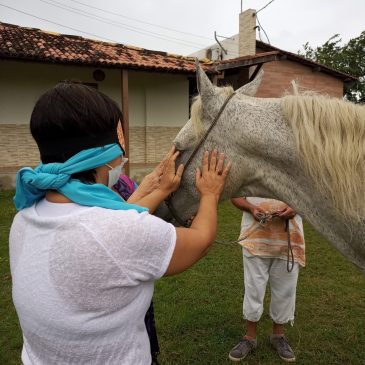 Vivência III Retiro Reconecte SE Haras Saracura (Vídeo)